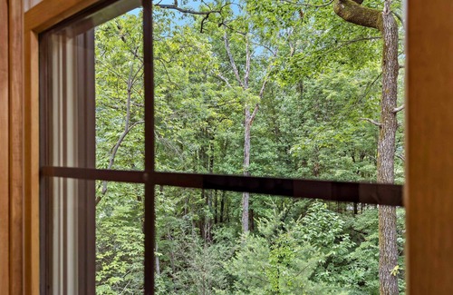 Lake Lure Cottage | Pet Friendly, Bear Paw by Carolina Properties