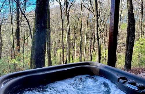 Ellijay Cabin | Pet-Friendly Cabin in the Woods w/HOT TUB! Secluded, Cozy, 2,000' Up!