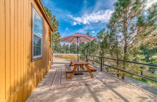 Alto Apartment | Pet Friendly | Dog Run | New Remodel | Wildlife