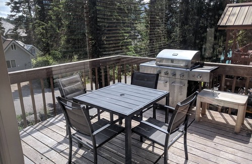 Government Camp House | Pet-friendly Govy Mountain Chalet!