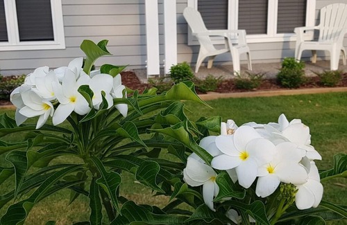 Point Vernon House | Pet friendly Hamptons style home walk to beach