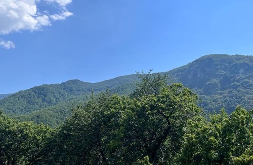 Vagli Sotto House | Pet-Friendly Holiday Home 'Casa della Fontana'