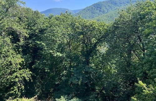 Vagli Sotto House | Pet-Friendly Holiday Home 'Casa della Fontana'