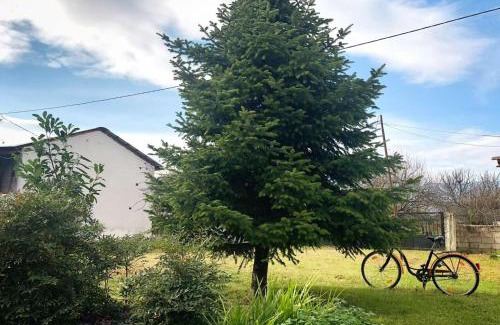 Pigi House | Pet friendly House