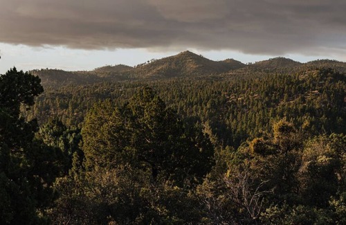 Highland Pines Cabin | Pet-Friendly Mountain Hide-A-Way w/Game & Media Room