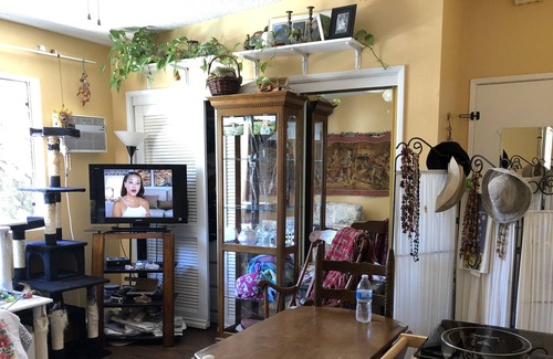 College East House | Pet Friendly Pool House