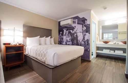 Ocala Hotel | Pet-friendly Property with Free Parking and Free Breakfast, Seasonal Pool