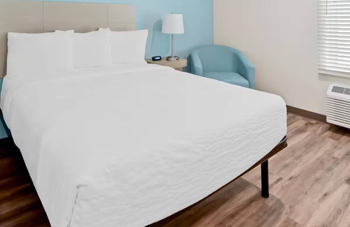 Greenville - Spartanburg Hotel | Pet-Friendly Room Near Falls Park on Reedy and Downtown Greenville Fun