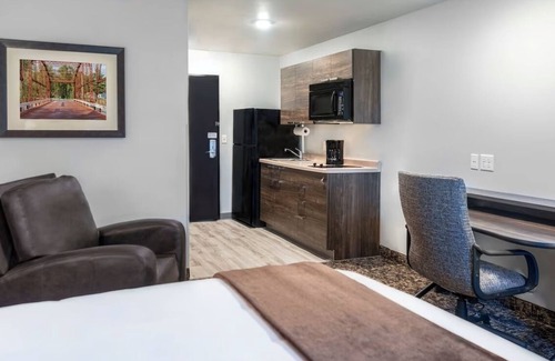 Marion Hotel | Pet-Friendly Room w/Modern Kitchenette Perfect for Your Marion Getaway