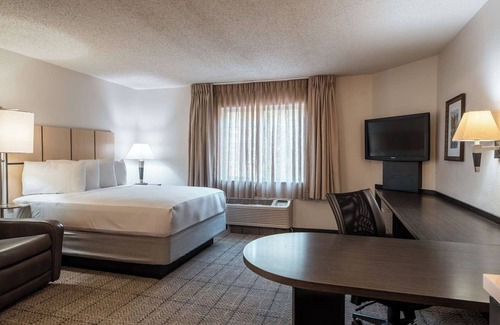 Park Central Hotel | Pet-Friendly Stay in Richardson! Close to NorthPark Center! FREE Parking Onsite