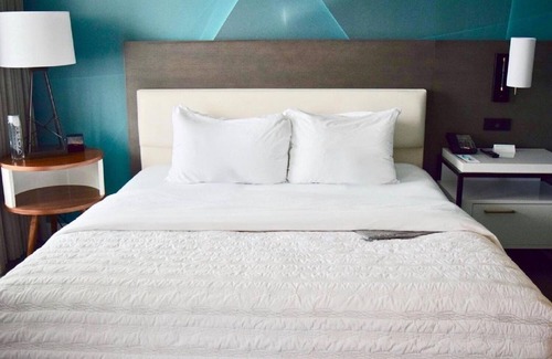 Houston Convention District Hotel | Pet Friendly Stay Near Discovery Green!