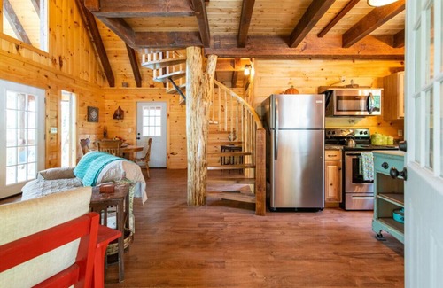 Pine Ridge Apartment | Pet-Friendly Tiny Cabin - Pine Point