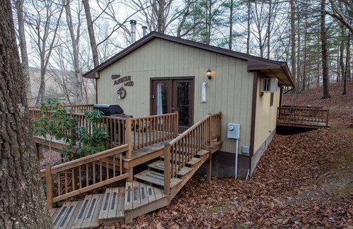 Lyndhurst Cabin | Pet Friendly Two Bedroom in Blue Ridge Mtns