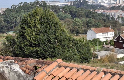 Marin House | Pet friendly vacation rental house