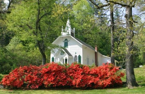 Sautee Nacoochee Cottage | Pet friendly with Private Hot Tub only 5 miles from Beautiful Downtown Helen!