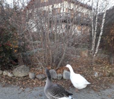 Saint-Julien-en-Champsaur Apartment | Petit appartement en montagne