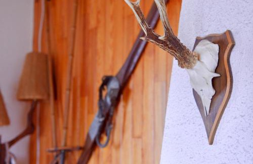 Labaroche Apartment | Petit chalet de montagne avec espace extérieur