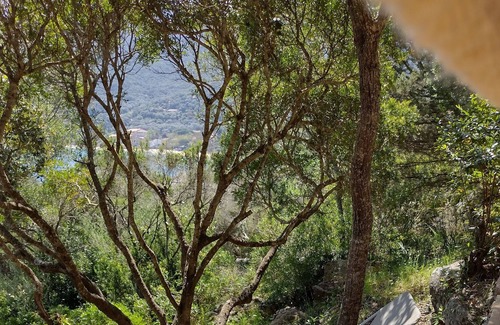 Belvedere-Campomoro Apartment | Petit Coin de Paradis Niché Dans le Maquis