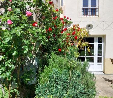 Blasimon House | Petit Est - Eco Cottage in large private garden near Saint-Emilion
