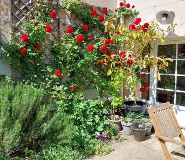 Blasimon House | Petit Est - Eco Cottage in large private garden near Saint-Emilion