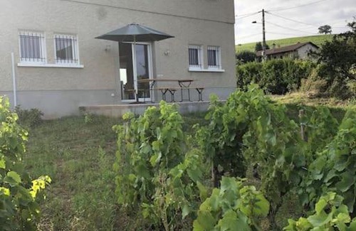 Villie-Morgon Apartment | Petit Gîte de Javernières Rez de jardin