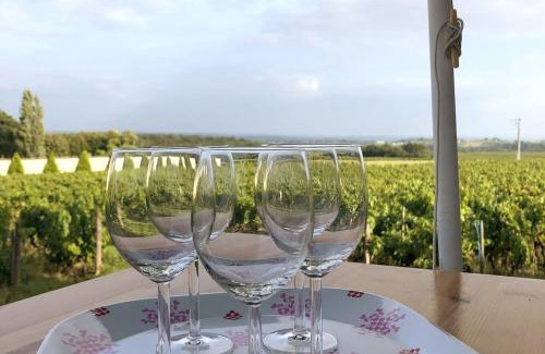 Villie-Morgon Apartment | Petit Gîte de Javernières Rez de jardin