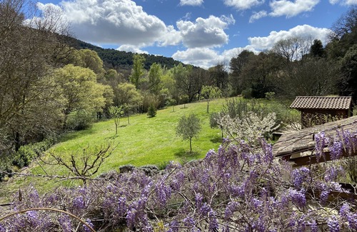 Lafare House | Petit Mazet Provençal en Bord de Ruisseau Avec Piscine au Pied des Dentelles