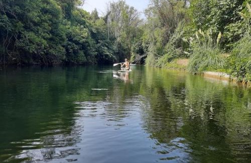 Le Cannet-des-Maures House | Petit Moulin
