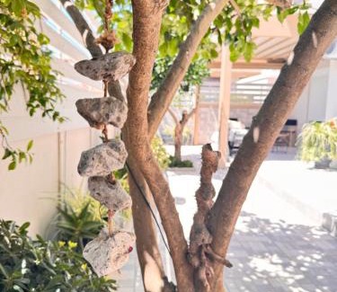 Preveza Apartment | Petite Fleur