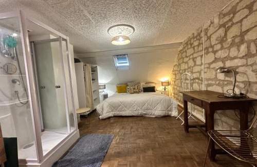 Savigny-en-Veron House | Petite Maison avec jardin privée