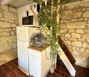 Savigny-en-Veron House | Petite Maison avec jardin privée
