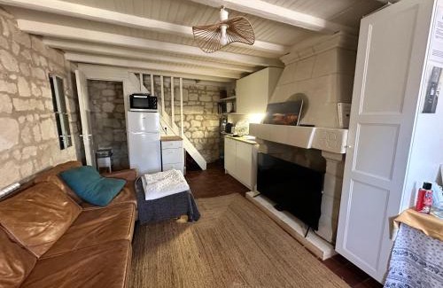 Savigny-en-Veron House | Petite Maison avec jardin privée