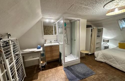 Savigny-en-Veron House | Petite Maison avec jardin privée