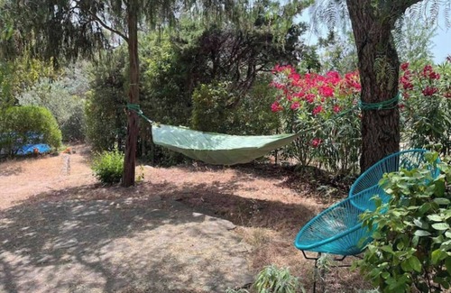 Frejus Cottage | Petite Maison de Vacances au Bord D'un Petit Bois