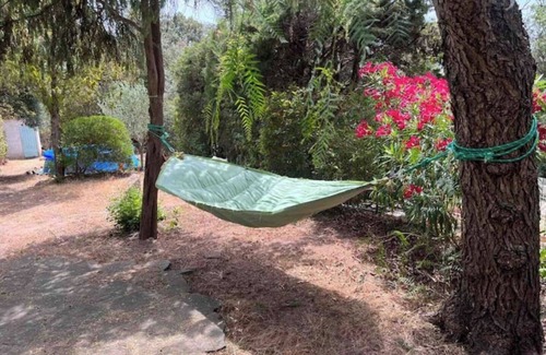 Frejus Cottage | Petite Maison de Vacances au Bord D'un Petit Bois