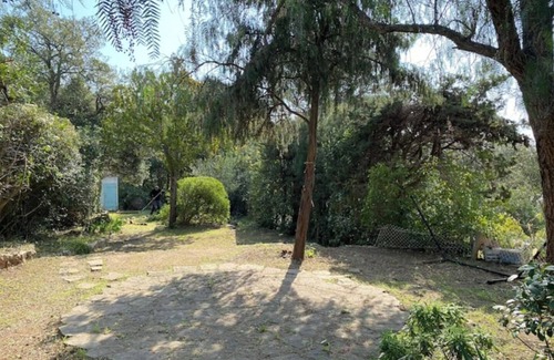 Frejus Cottage | Petite Maison de Vacances au Bord D'un Petit Bois