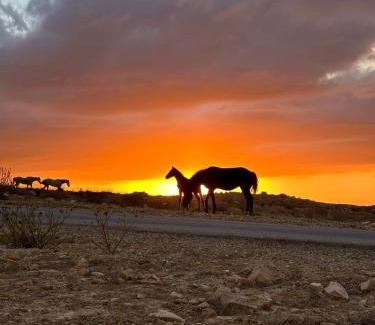 Wadi Musa Bed & Breakfast | Petra Desert Dream Hotel