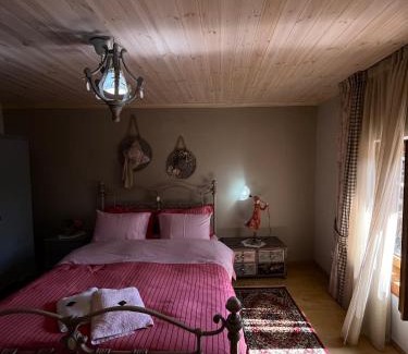 Karpenisi Villa | Petrameli