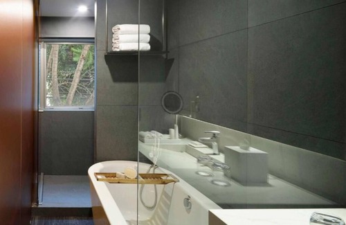 Hipodromo Hotel | Pets Allowed, Nightclub & Shuttle - Experience Zócalo & Heart of Mexico City!