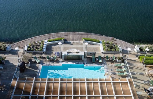 Redwood Shores Hotel | Pets Allowed & Onsite Pool, 3 Junior King Suite at Grand Bay San Francisco Hotel