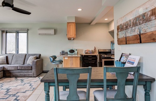 Candler Apartment | PETS, large fenced yard, full kitchen, 6 min to A-ville.