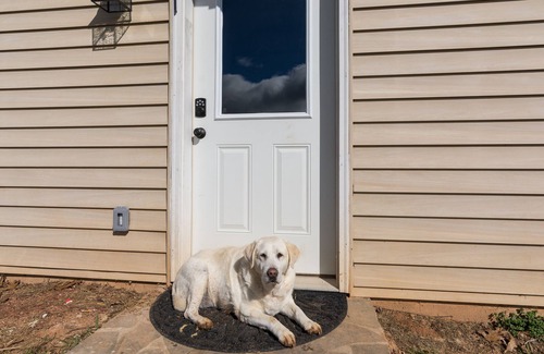 Candler Apartment | PETS, large fenced yard, full kitchen, 6 min to A-ville.