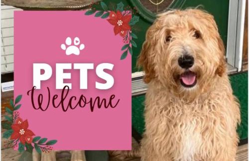 Sevierville House | Pets OK! Hot Tub, Wi-Fi, Game Room