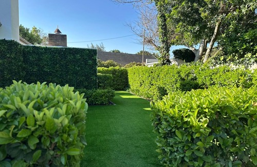 Lakeside Apartment | Petunia - Self-catering Queen Unit