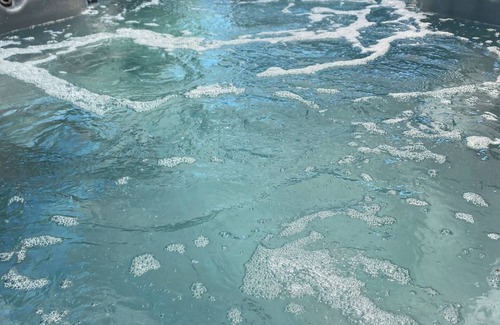 Los Angeles House | Phtamanoric house. Sleeps 15 with lap pool/jacuzzi and jungle room