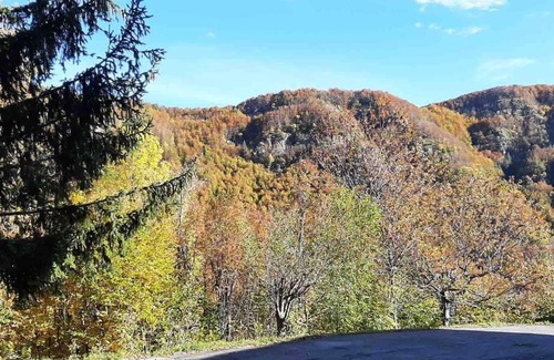 Pian di Novello Apartment | Piandinovello nice stay