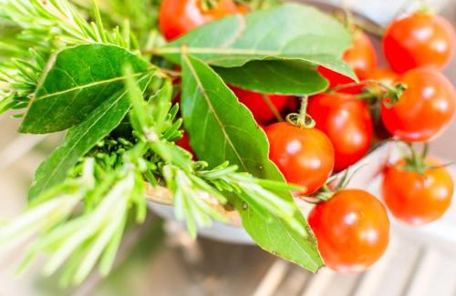 Santo Spirito Apartment | Piattellina Five Senses