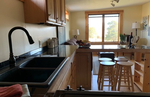 Lexington Apartment | Picture Window Mountain Views