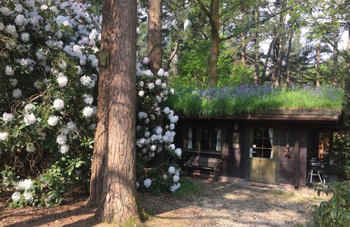 St Leonards Cabin | Piilopirtti - a traditional Finnish log cabin