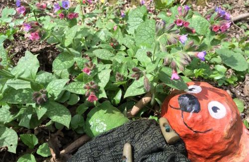 Maria Taferl House | PilgerRosenhof